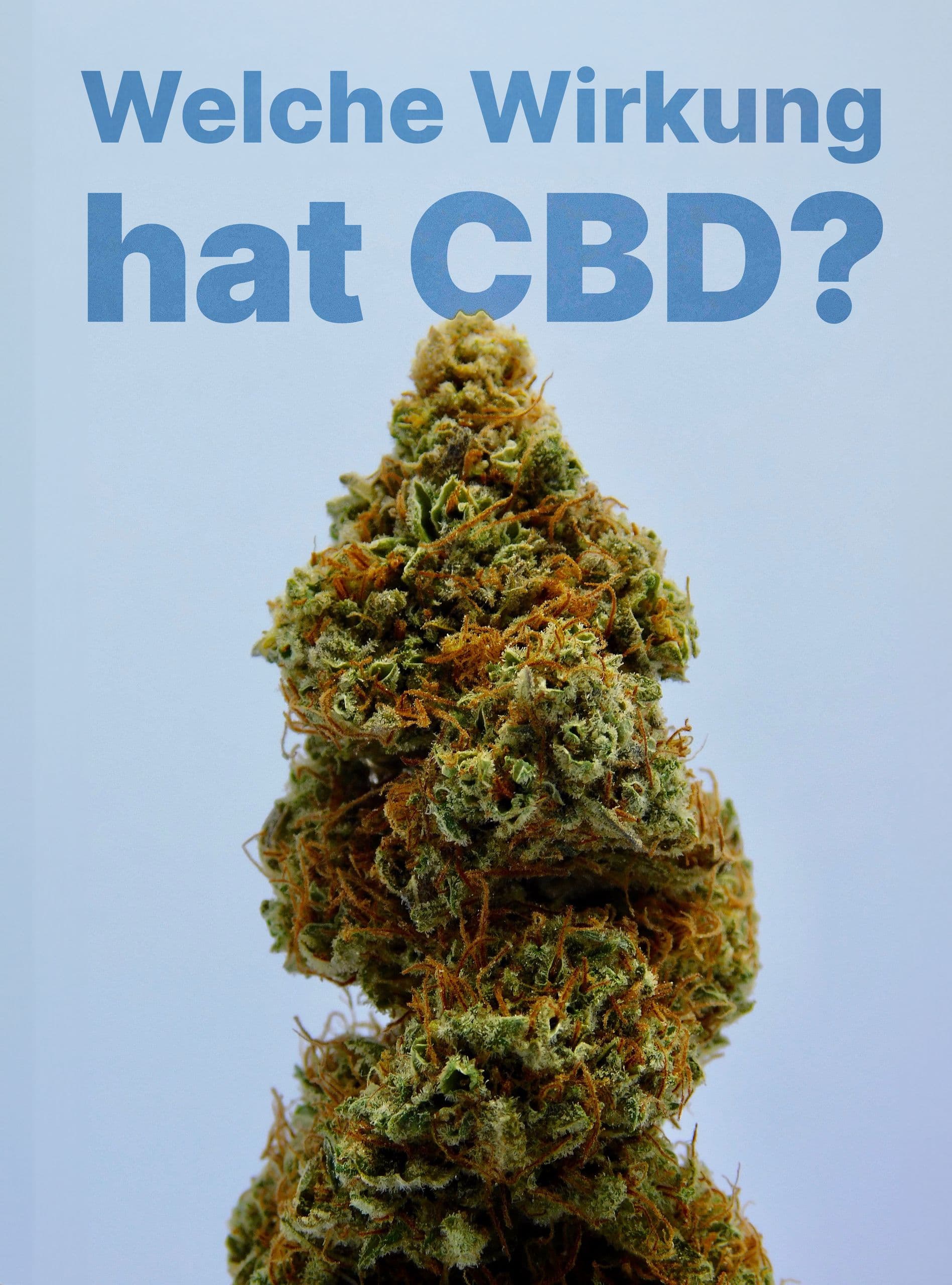 Welche Wirkung hat CBD?